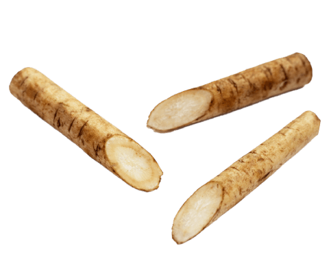 ごぼう茶